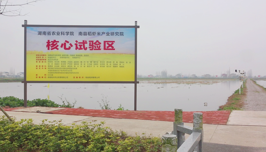 湖南省农业科学院南县稻虾米产业研究院核心试验区