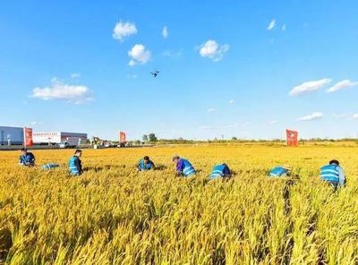 政策加持!中国农业科技迎来高速发展,未来农业更赚钱